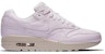 (Women) Nike Air Max 1 Pinnacle 839608-500
