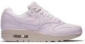 Order (Women) Nike Air Max 1 Pinnacle 839608-500