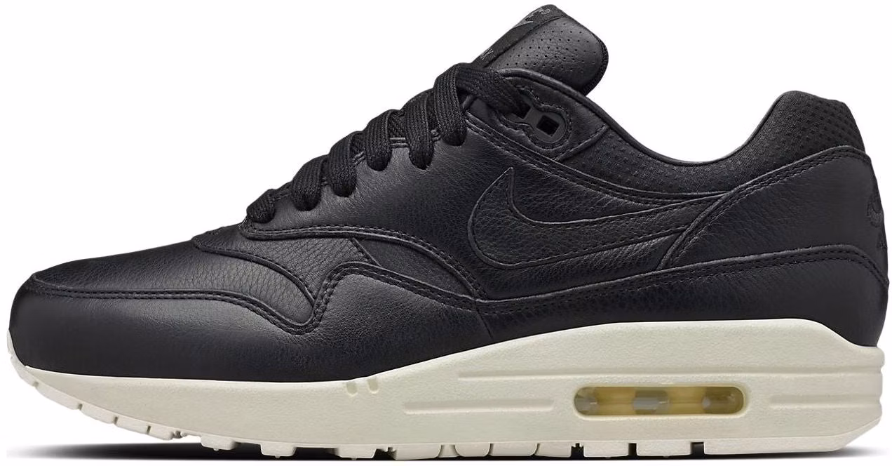 nike-air-max-1-pinnacle-black-sail-wmns