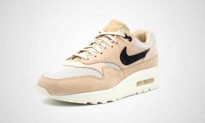 Nike air max 1 2025 pinnacle mushroom