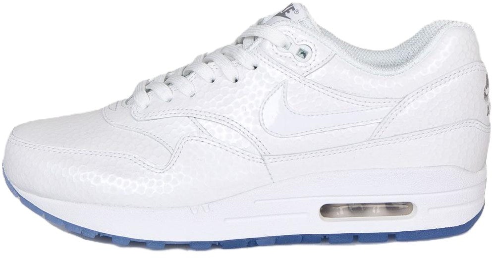 women-nike-air-max-1-premium-ice-pack-454746-106