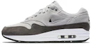 Buy (W) Nike Air Max 1 Premium SC Jewel 'Wolf Grey' Abu-abu Serigala AA0512-002