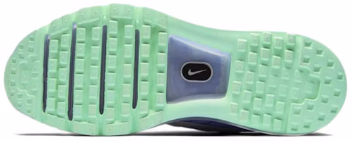Details for (W) Nike Air Max 2017 'Ungu Concord' 849560-402