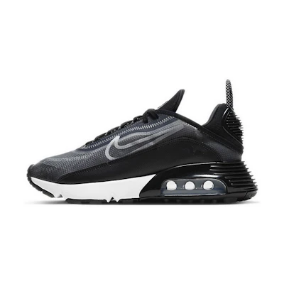(W) Nike Air Max 2090 'Black'