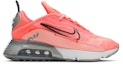 Buy (W) Nike Air Max 2090 'Bleached Coral' - Koral Peluntur CT7698-600