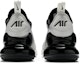 Details for (W) Nike Air Max 270 'Gris Vast' AH6789-012