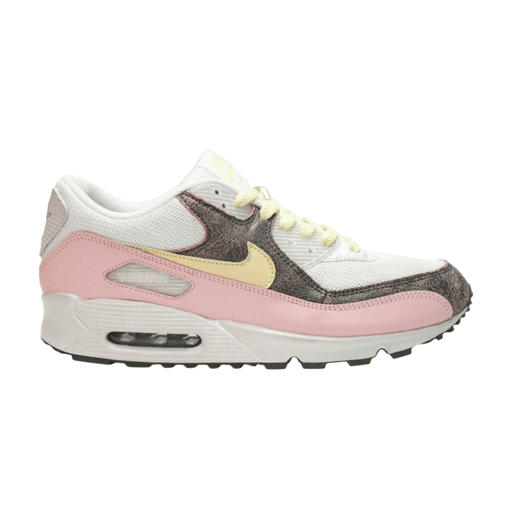 Buy （女款）Nike Air Max 90 '復活節' 312052-171