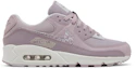 Buy (W) Nike Air Max 90 'Camuflaje Niebla Ciruela' DC9445-500
