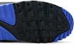 Purchase (W) Nike Air Max 90 'Royal' Lelaki CD0490-100