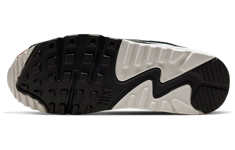 Details for (W) ナイキ エア マックス 90 "スケールズ" CW2656-001