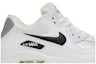Order (W) Nike Air Max 90 'Blanco Plata' 325213-137