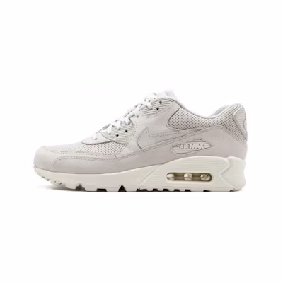 (W) Nike Air Max 90 Pinnacle Light Bone