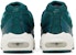 (W) Nike Air Max 95 'Baldu Hijau' DZ5226-300