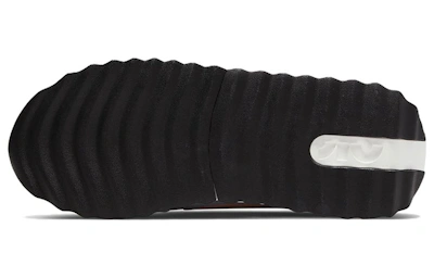 (Women) Nike Air Max Dawn 'Vast Grey Bleached Coral' DQ5016-100