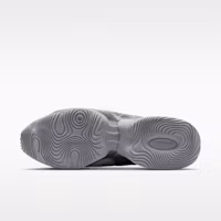 Order (W) Nike Air Max Muse 金屬銀/金屬銀 FV1920-008