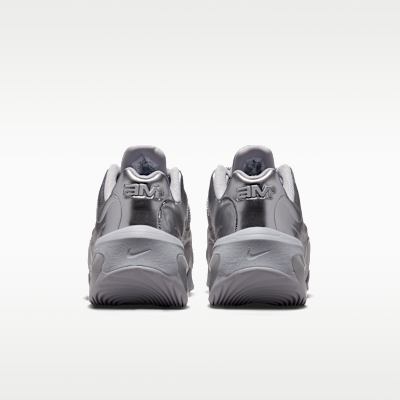 Details for (W) Nike Air Max Muse Argento Metallico/Argento Metallico FV1920-008