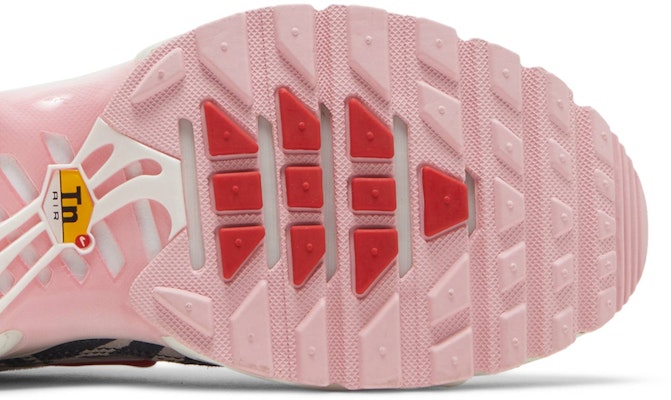 (Women) Nike Air Max Plus 'Animal Instinct' DZ4842-600 Purchase (Women) Nike Air Max Plus 'Animal Instinct' DZ4842-600