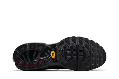 (Women) Nike Air Max Plus 'Black Chrome Silver'