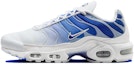 Buy (W) Nike Air Max Plus 'Biru Pudar' FZ4345-100