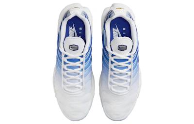 (Women) Nike Air Max Plus 'Blue Fade'