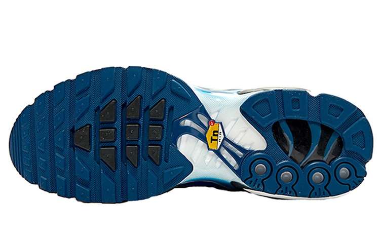 Purchase (W) Nike Air Max Plus 'Fuerza Azul' CD7061-100