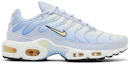 Buy (W) Nike Air Max Plus ''Daybreak'' Scarpe da Ginnastica DZ3670-004