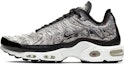 Buy (W) Nike Air Max Plus 'Guijarros' AR0970-001