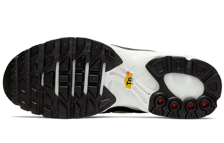 Purchase (W) Nike Air Max Plus 'Guijarros' AR0970-001