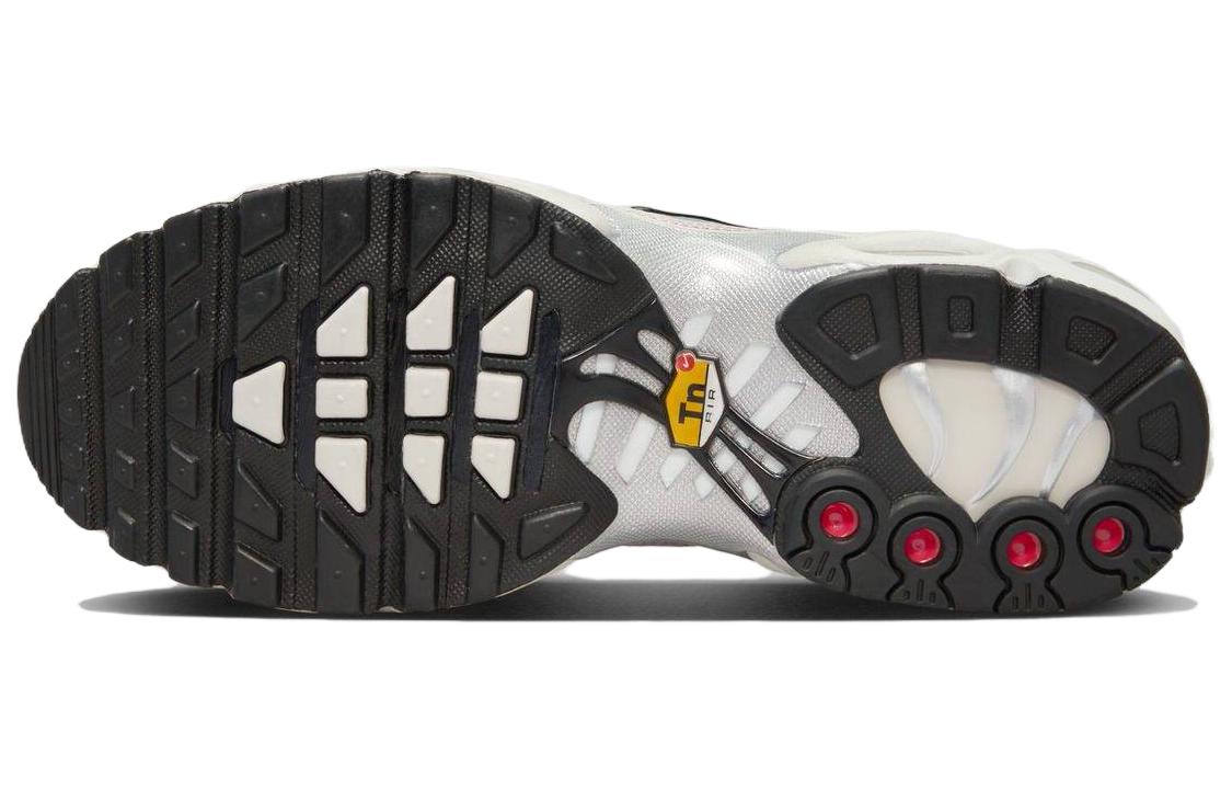 Sizing (Women) Nike Air Max Plus 'Platinum Violet' FV8480-001