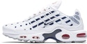 Buy (W) Nike Air Max Plus 'Unidad Total' CI9103-100