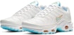 (W) Nike Air Max Plus 'Putih Glacier Ice' DA4287-100