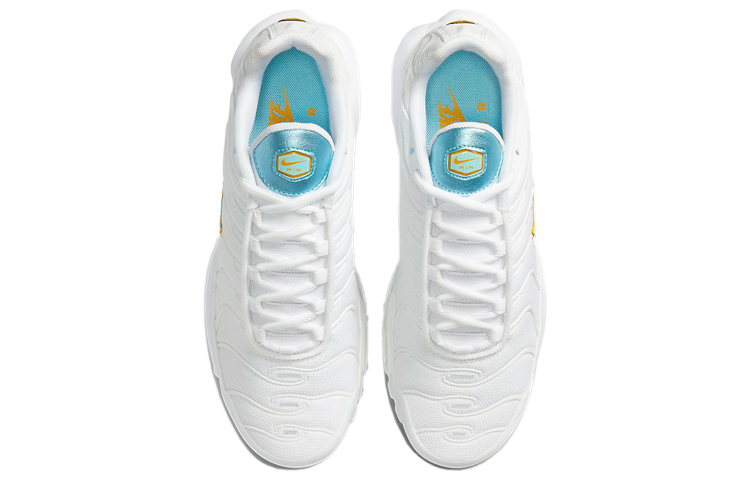 Shop （女性款） 耐吉 Air Max Plus 'White Glacier Ice' DA4287-100