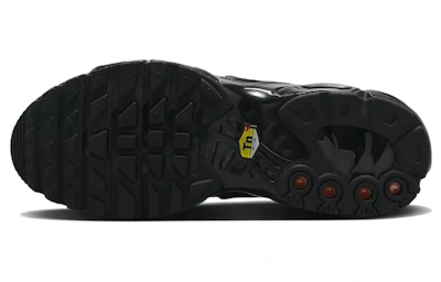 (Women) Nike Air Max Plus Black Reflective (2022)