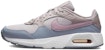 (W) Nike Air Max SC 'Amethyst Ash' Wanita CW4554-500