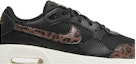 Order (W) Nike Air Max SC 'Harimau Bintang Hitam' DO2785-010