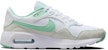 (W) Nike Air Max SC 'Putih Jade Ice' FN7163-100