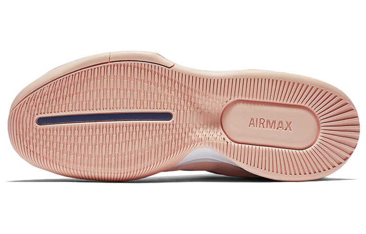 Details for (W) Nike Air Max Wildcard Rose/Bleu AO7353-600