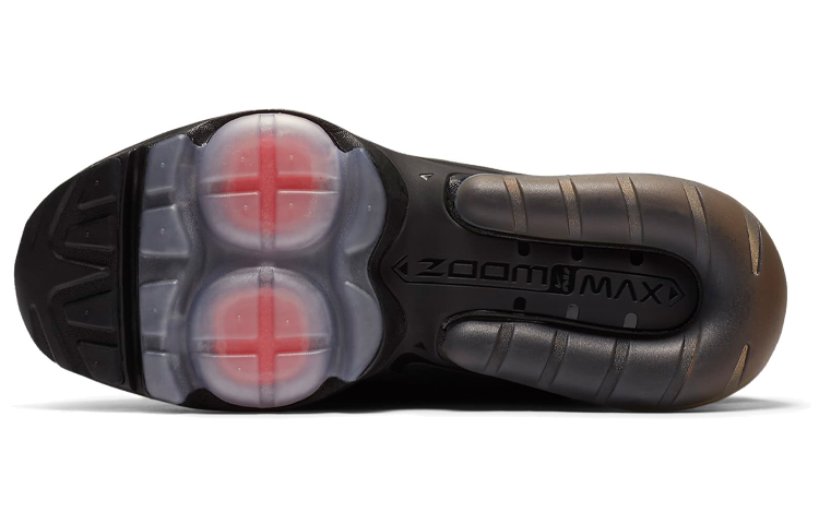 Details for (W) Nike Air Max ZM950 ''Noir'' CT1940-001