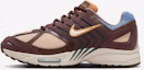Buy (W) Nike Air Pegasus 2005 'Coklat Orewood Cerah' HQ3455-111