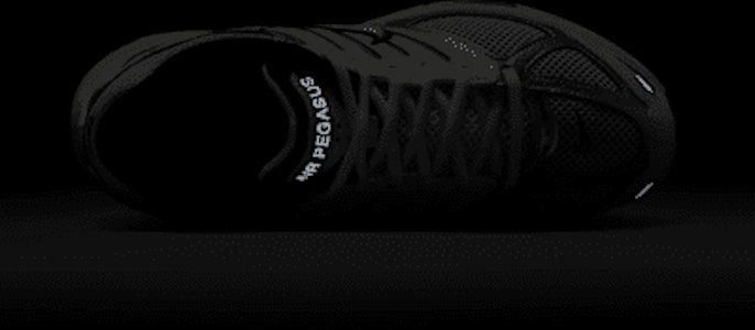 (W) ナイキ エア ペガサス 'ファントム ライトボーン' HJ5271-002 HQ1675-100 1