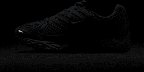 (W) ナイキ エア ペガサス 'ファントム ライトボーン' HJ5271-002 HQ1675-400 4