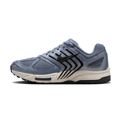 (W) Nike Air Pegasus 2K5 'Ashen Slate'