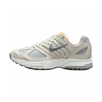 (W) Nike Air Pegasus 2K5 'Light Smoke Grey'