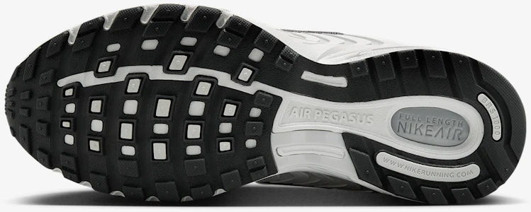 Lookbook (W) Nike Air Pegasus 2005 Jualan Langsung Edisi Eksklusif HQ5718-103