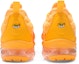 Details for (Wanita) Nike Air VaporMax Plus 'Oren' CW7011