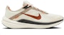 (W) Nike Air Winflo 10 'Beige Rust' Beige Karat FD6616-800