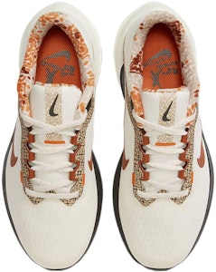 (W) Nike Air Winflo 10 'Beige Rust' Beige Karat FD6616-800 Shop (W) Nike Air Winflo 10 'Beige Rust' Beige Karat FD6616-800