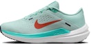 Buy (W) Nike Air Winflo 10 'Jade Ice White' Putih Jade Ais DV4023-300