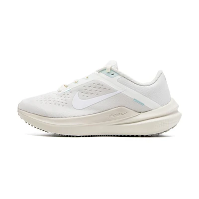 (W) Nike Air Winflo 10 'Phantom'