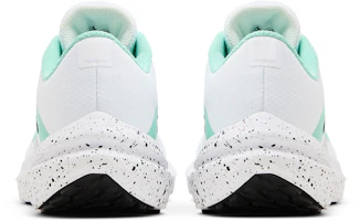 Details for (女子)耐吉 Air Winflo 10 "白色翡翠綻放" FN7106-100
